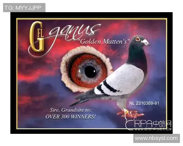 昔日日本足球巨星风采回顾与辉煌时代再现 昔日日本足球巨星风采回顾与辉煌时代再现